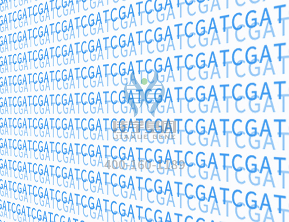 【佳学基因-基因检测】自闭症:孕妇补充过多叶酸导致? 【佳学基因-基因检测】自闭症:孕妇补充过多叶酸导致?